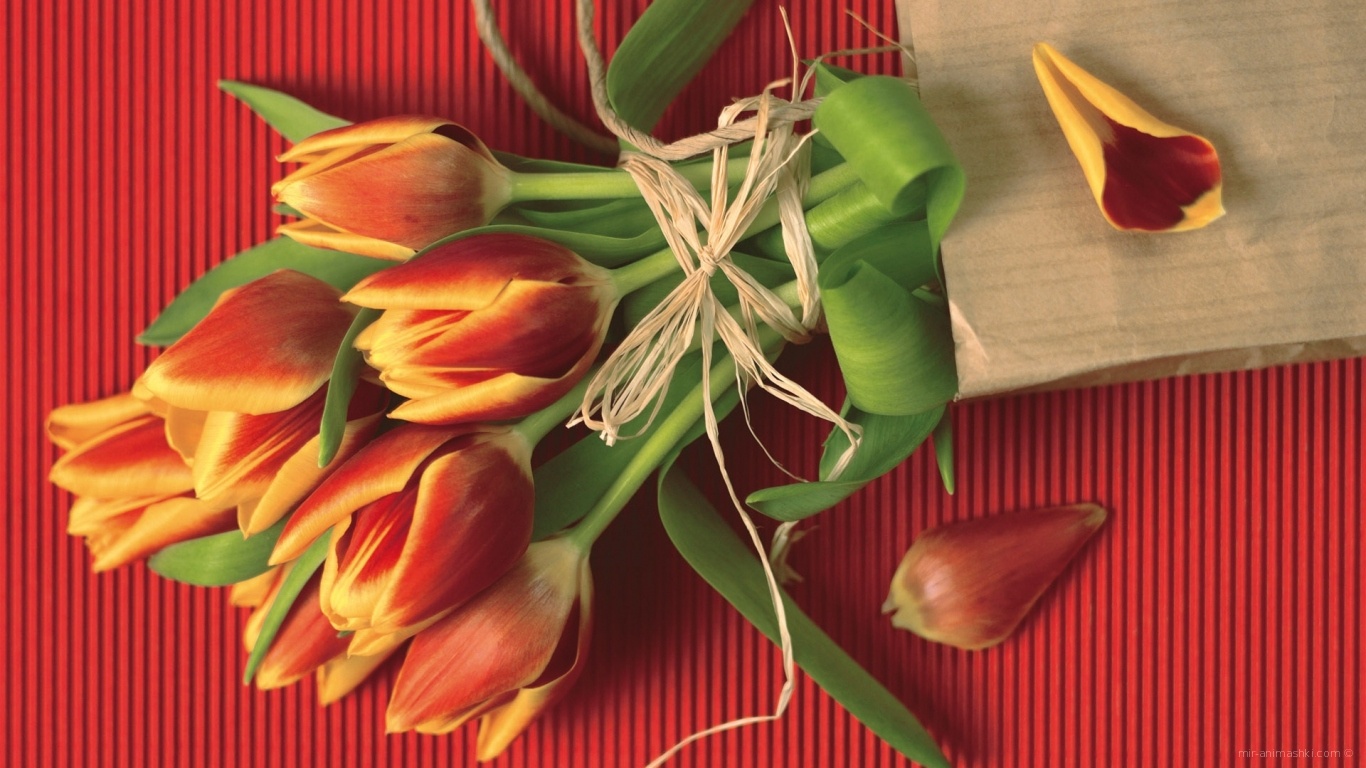 Цветы на 8 марта~Анимационные блестящие открытки GIF