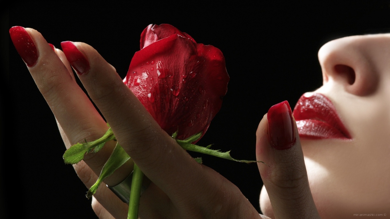 Роза в руках девушки~Анимационные блестящие открытки GIF