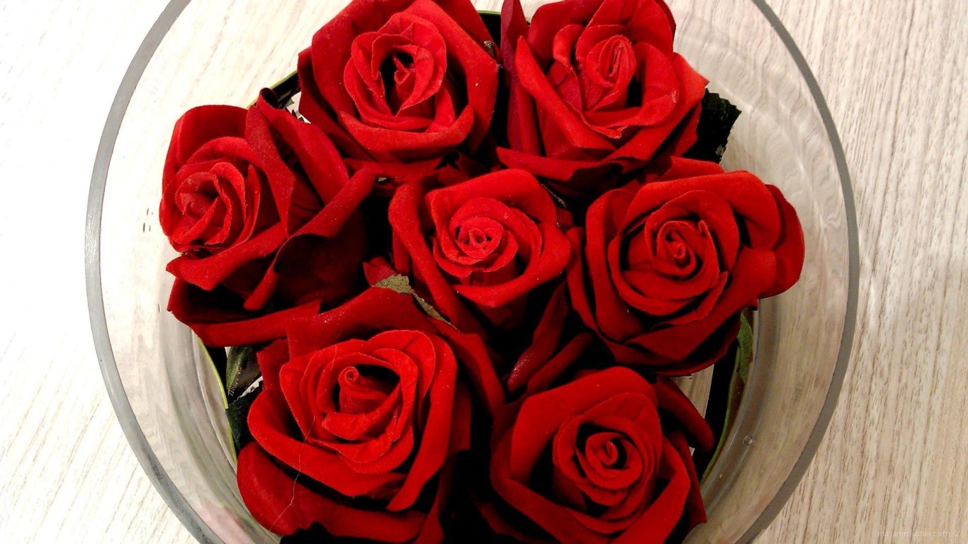 Красные розы на 8 марта в вазе~Анимационные блестящие открытки GIF
