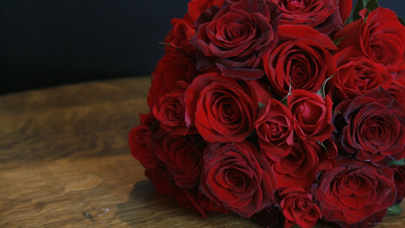 Красные розы на 8 марта на темном фоне~Анимационные блестящие открытки GIF