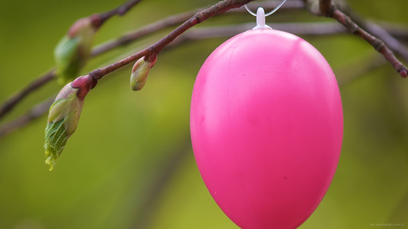 Розовое яйцо на ветке на Пасху~Анимационные блестящие открытки GIF