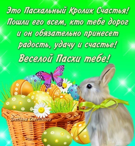 Это пасхальный кролик счастья~Анимационные блестящие открытки GIF