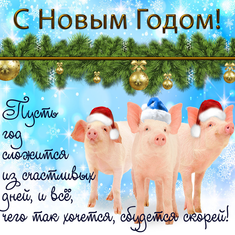 Прикольная картинка с новым годом Свиньи~Анимационные блестящие открытки GIF
