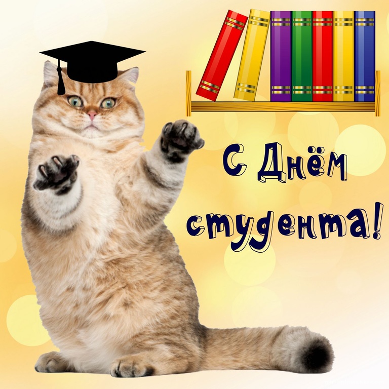Серьезный котик поздравляет с Днем студента~Анимационные блестящие открытки GIF