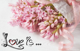 Открытка с днем Святого Валентина, букет розовых цветов