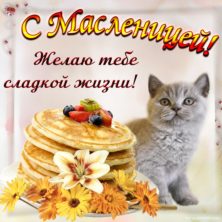 Милый котик поздравляет с Масленицей~Анимационные блестящие открытки GIF