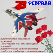 Открытка с самолётом и цветами на 23 февраля