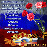 Гвоздики к 23 февраля на фоне флага России