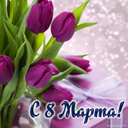 Фиолетовые тюльпаны на блестящем фоне