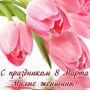 Розовые тюльпаны для милых женщин