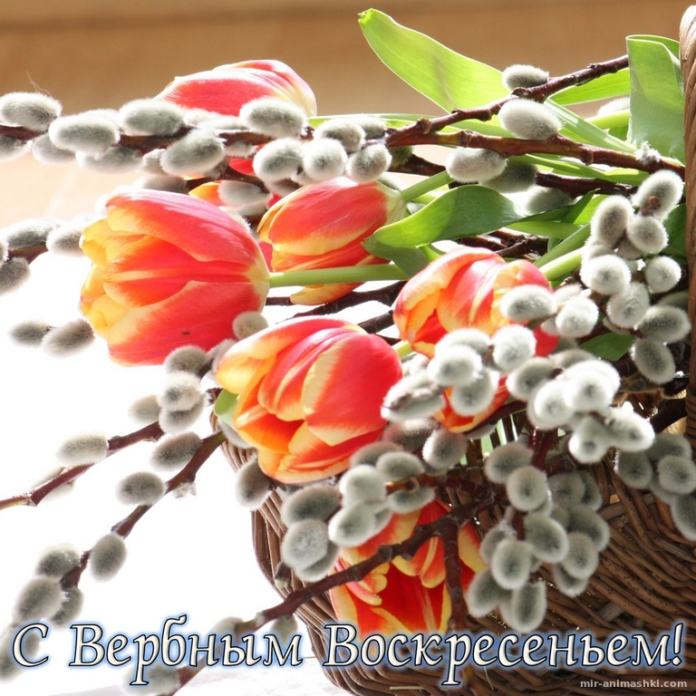 Красивые цветы на Вербное Воскресенье~Анимационные блестящие открытки GIF