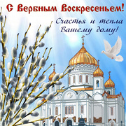 Верба и белый голубь на фоне собора