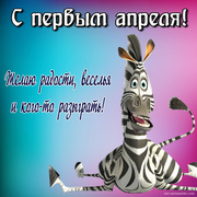 Смешная зебра поздравляет с 1 апреля