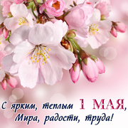 Красивая открытка с весенними цветами на 1 мая