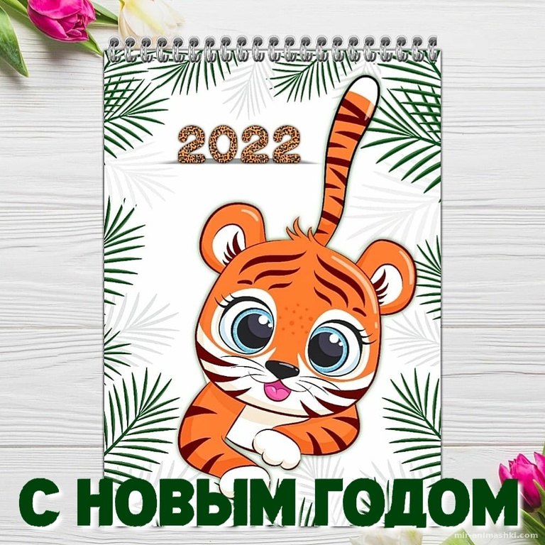 Прикольная картинка год тигра~Анимационные блестящие открытки GIF