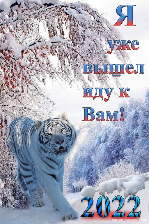 Год тигра в пути~Анимационные блестящие открытки GIF