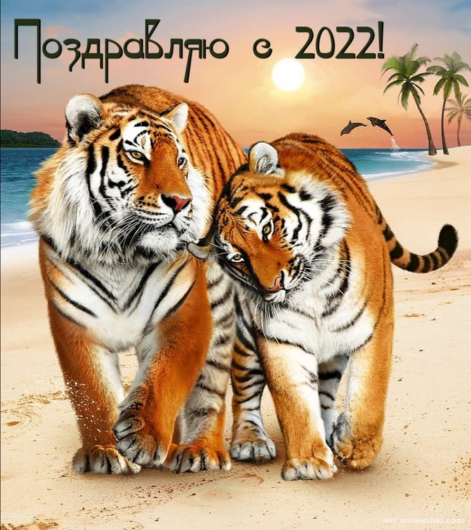 Картинки с Новым Годом тигра~Анимационные блестящие открытки GIF