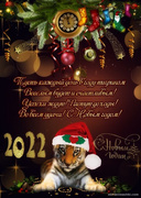 Новогодняя открытка с тиграми