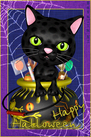Чёрный кот Хэллоуин