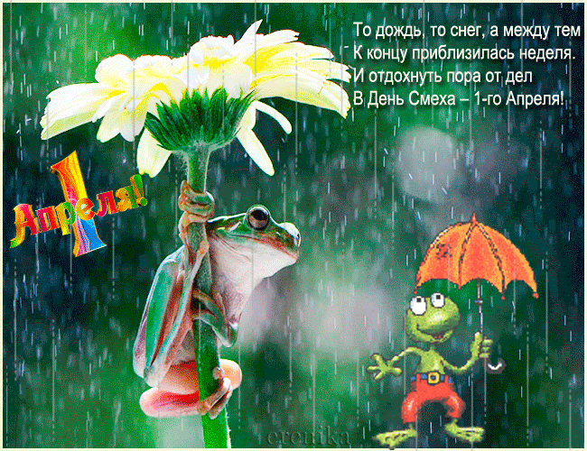 С днем рождения в любую погоду. Доброго дня в дождливую погоду. Хорошего настроения в любую погоду. Открытки про дождливую погоду. Хорошего настроения в дождь.