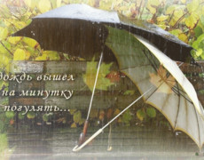 два зонтика под дождём