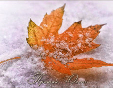 Поздравительная открытка Осень