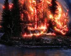 Лес в огне картинка