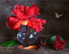 Красные цветы в стеклянной вазе