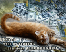 Кот и доллары