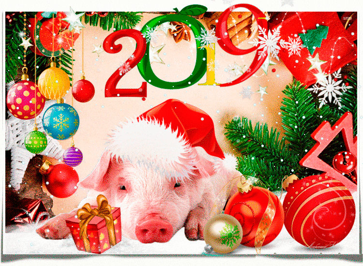 Открытка Свинка на новый год