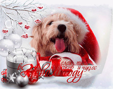 Год собаки открытка новогодняя