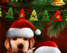 С Новым годом собаки открытки красивые