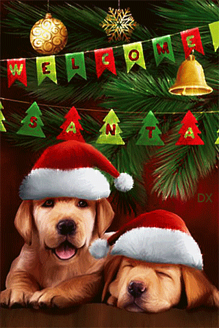 С Новым годом собаки открытки красивые