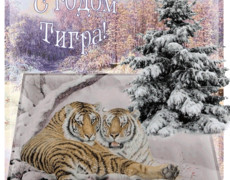 Открытка с новым годом Тигра