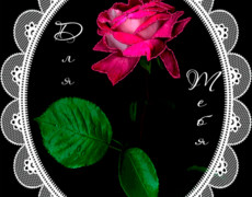 Роза с надписью для тебя
