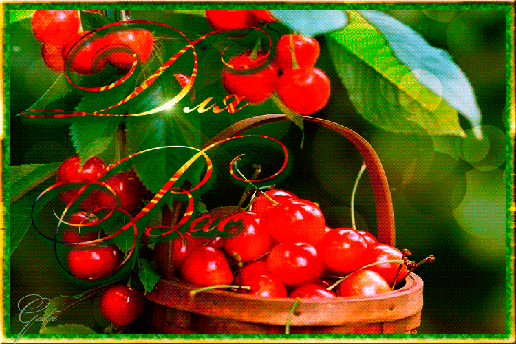 Вишня алая текст. Доброе утро черешня. Анимашки фрукты ягоды. Доброе утро с ягодами черешни и вишни. Доброго дня черешня.