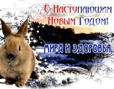 Поздравительная открытка Год кролика