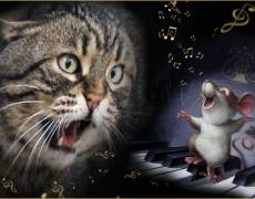 Кот, мышь и пение