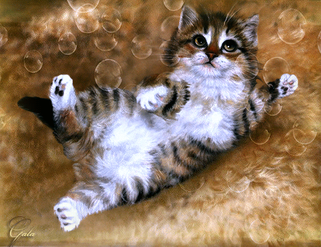 Кошка бесплатная живая. Живые котики. Котята которые двигаются. Блестящие котята. Мерцающие открытки с котятами.