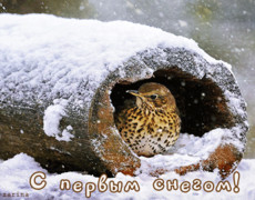 Поздравительная открытка Зима