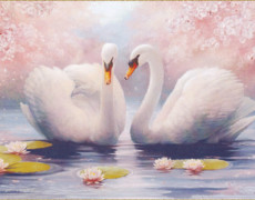 Картина «Два лебедя»
