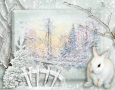 Белый заяц в зимнем лесу