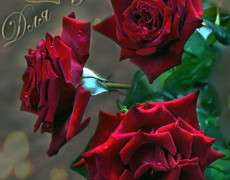 Гифка с розами для тебя