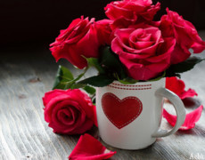 Чашка красных роз
