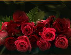 Очень красивые розы