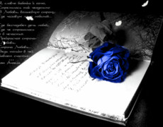 Роза в дневнике