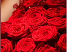 Розы С Днем Святого Валентина