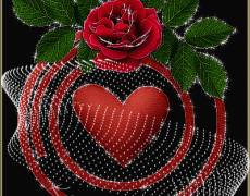 Сердце и роза