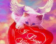 Котенок ангел с сердечком