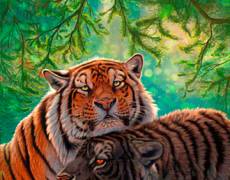 Рисунок с тиграми